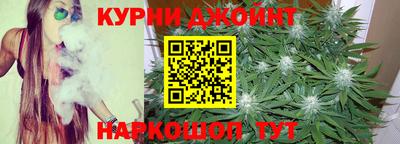 молекула духа Будённовск